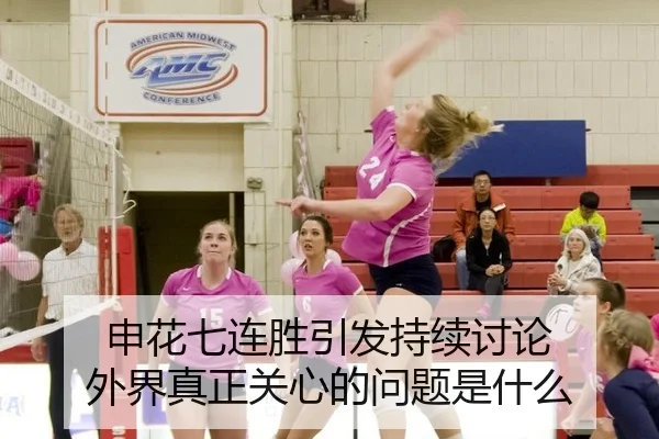 申花七连胜引发持续讨论 外界真正关心的问题是什么